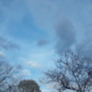 Meet your Posher, Rabail